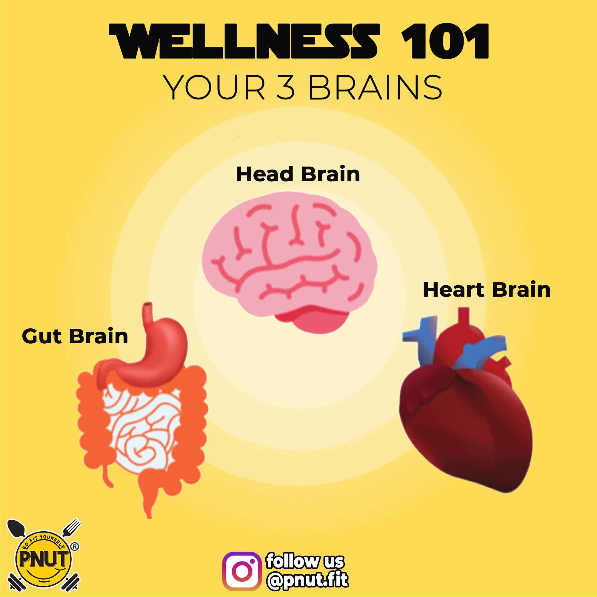 You are what you eat! Gut Brain.